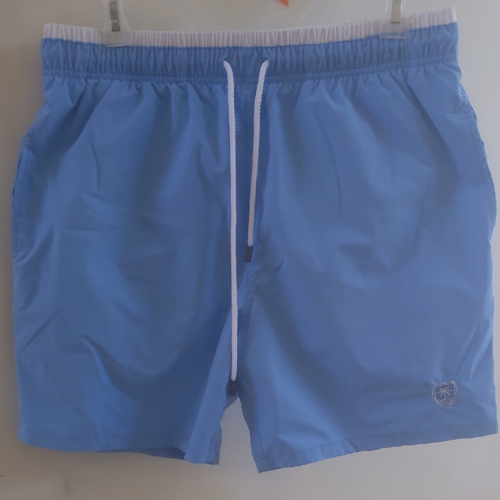 Bugatchi Azure and White Swim Shorts